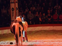 Circus YAKARI am 28.09.2024